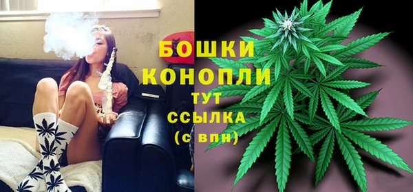 ПСИЛОЦИБИНОВЫЕ ГРИБЫ Переславль-Залесский