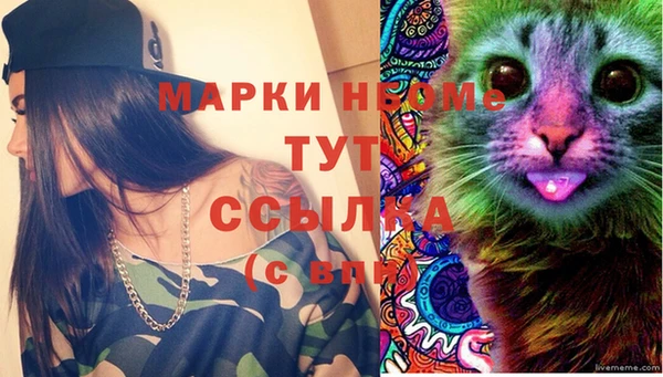 ПСИЛОЦИБИНОВЫЕ ГРИБЫ Переславль-Залесский